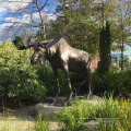 estátua de alce de bronze